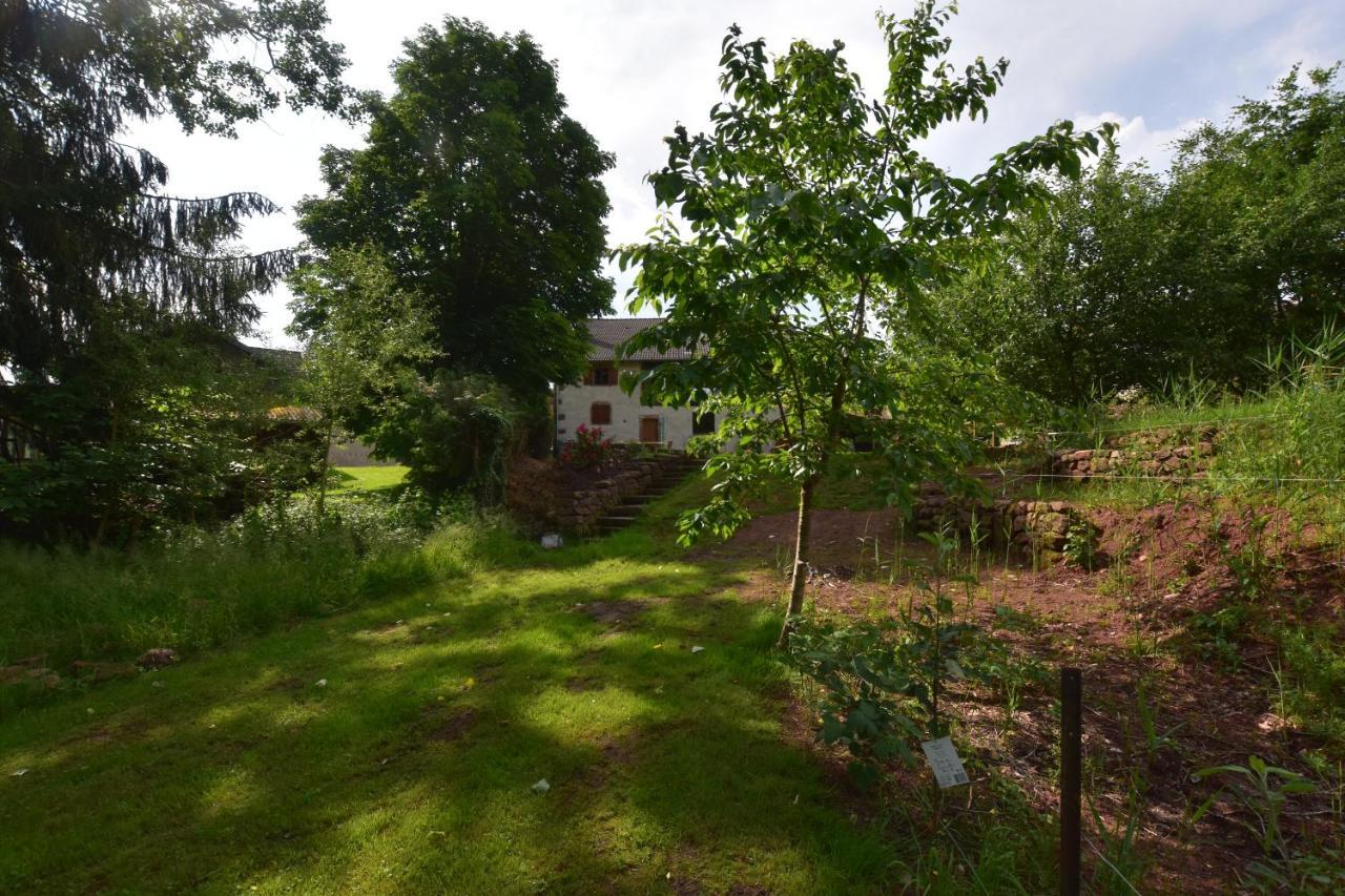 Serendipity For All Apartments Saint-Die-des-Vosges Exterior photo